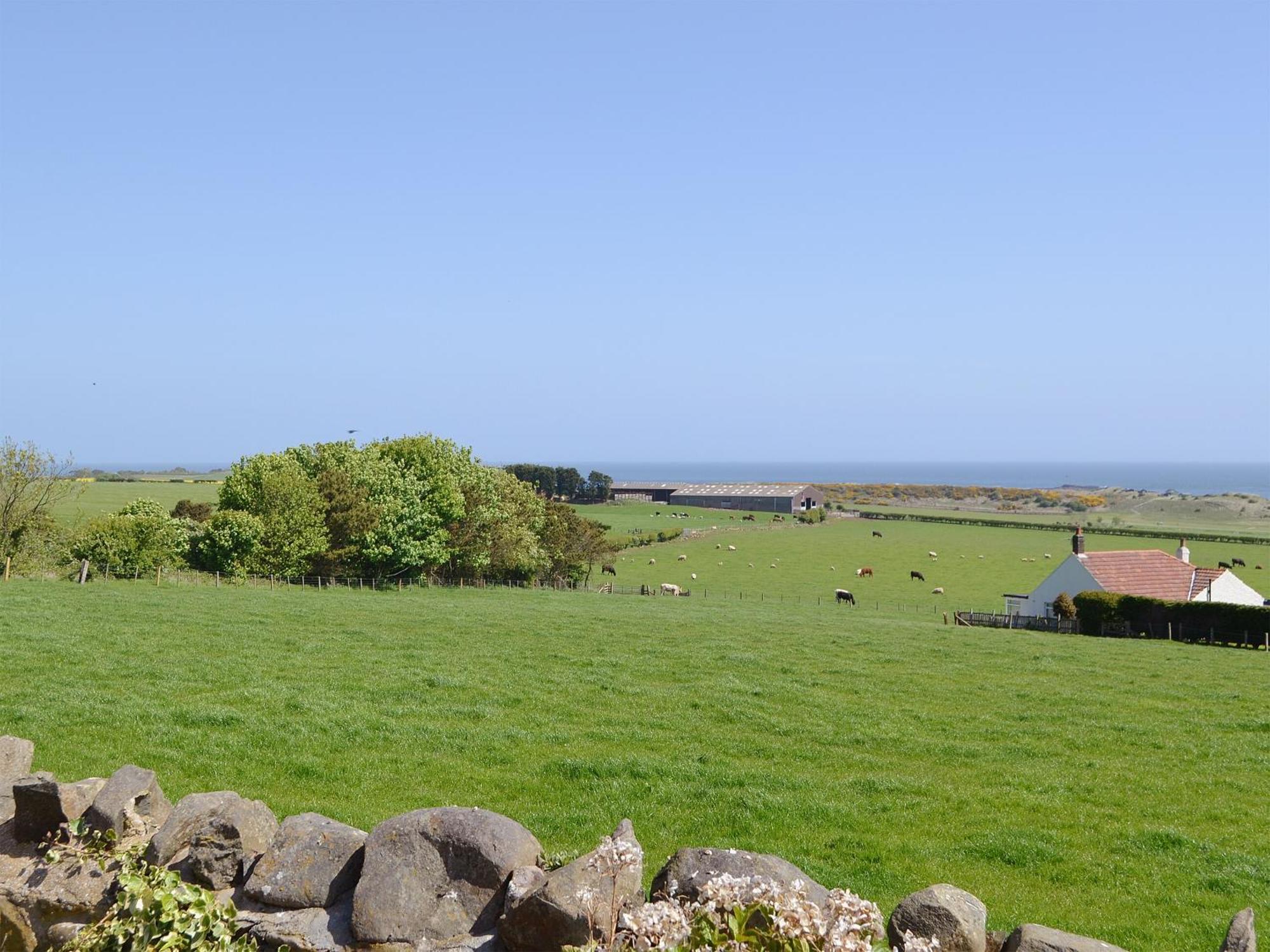 Eider Cottage Embleton  Bagian luar foto